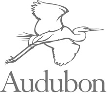 Audubon